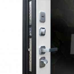 Стальная дверь 